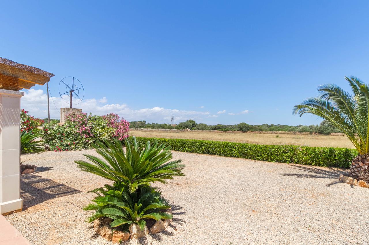 Ferienhaus Finca Loft Can Moreno Es Trenc